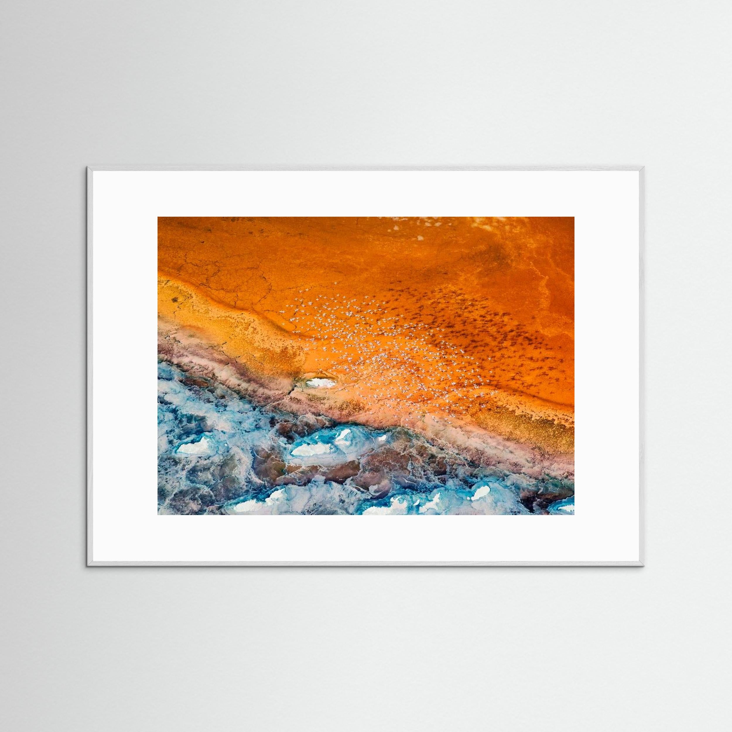 Colorful by Phillip Chang